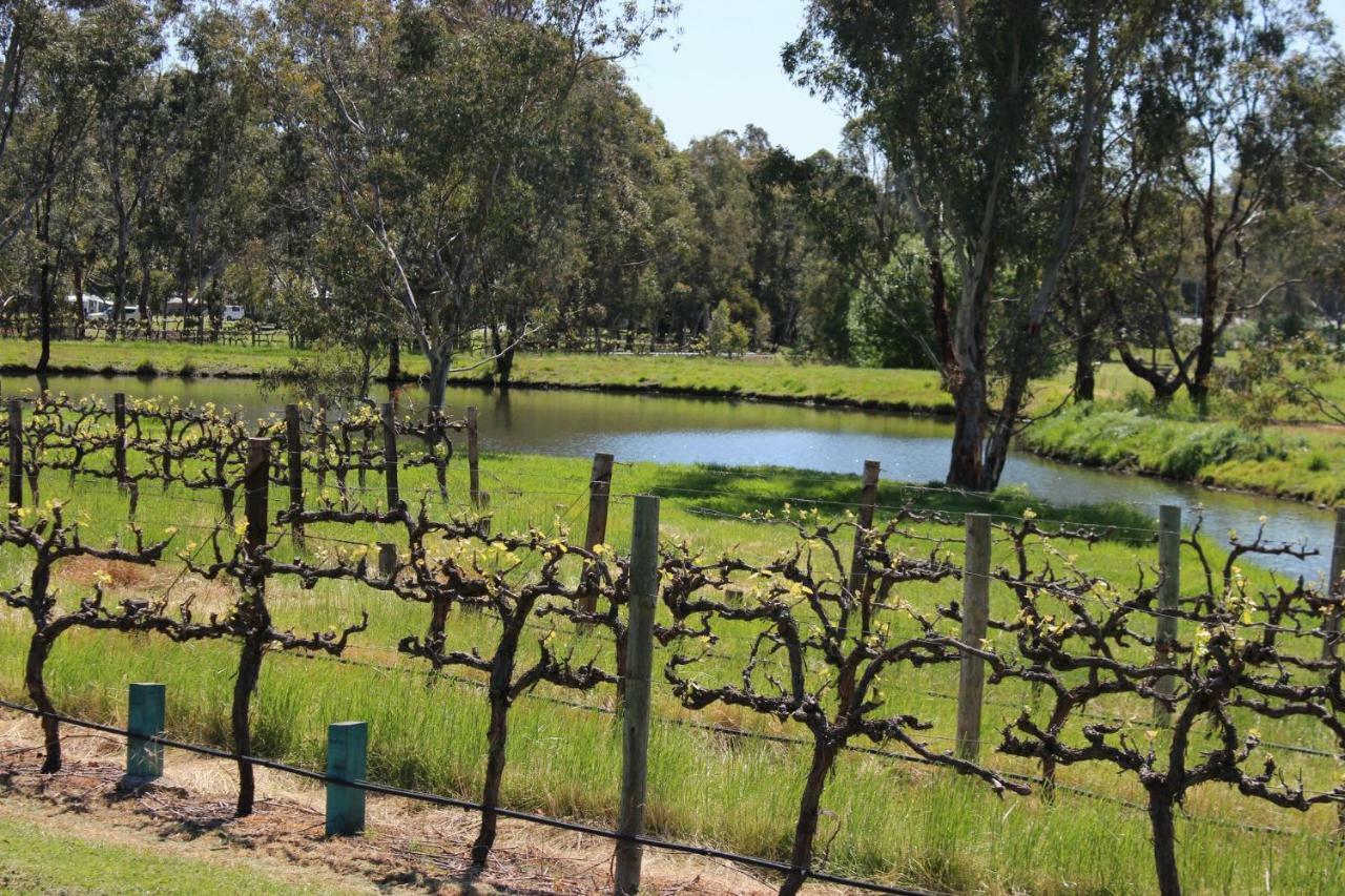 Vila Oxenberry Farm Mclaren Vale Exteriér fotografie